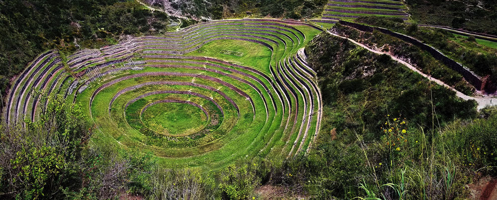Moray