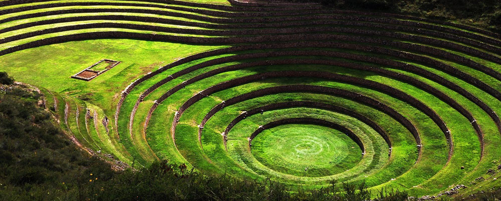 Maras Moray